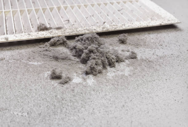 Best Residential Air Duct Cleaning  in Albion, IN