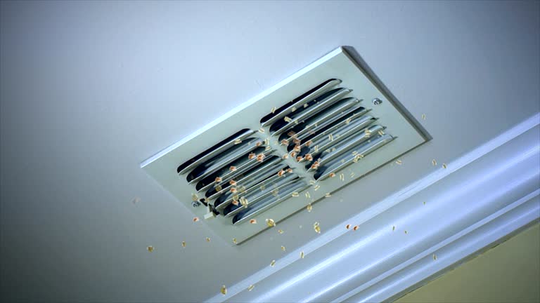Best HVAC Maintenance and Cleaning  in Albion, IN