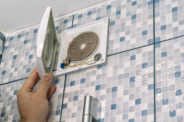 Best Affordable Air Duct Cleaning  in Albion, IN