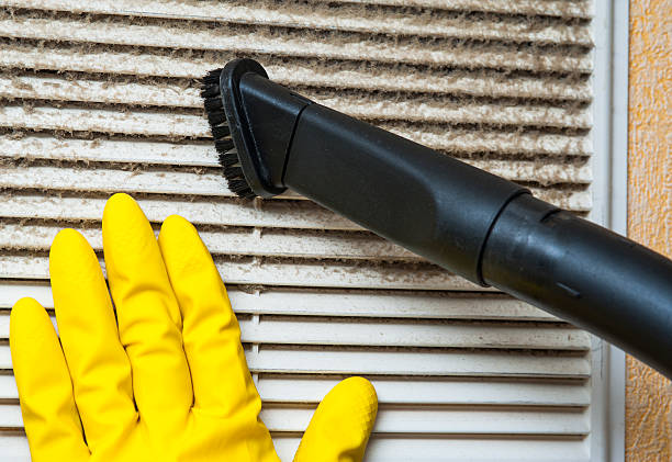 Best Ventilation Cleaning Services  in Albion, IN